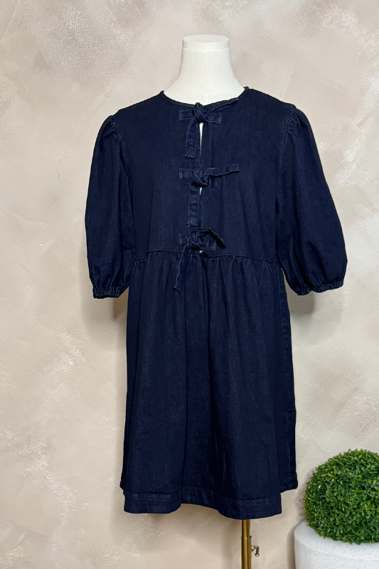 Martina Denim Mini Dress