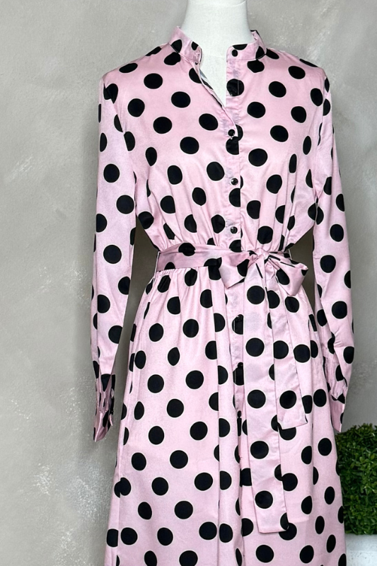 Emily Polka Dots Dress