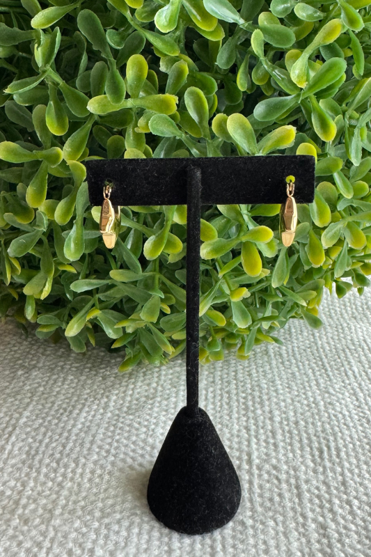Star Earring