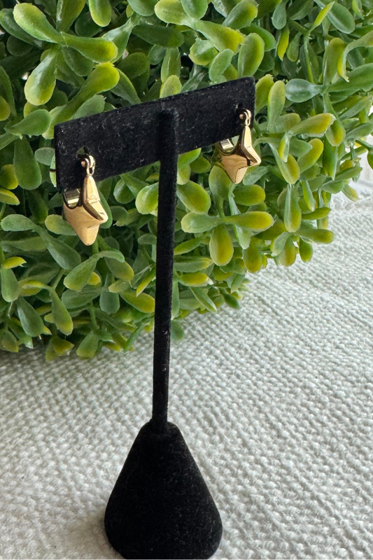 Star Earring